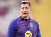 开云下载-关于波兰队主场保护三分，莱万直接进球一切跟本结束的信息