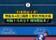 开云下载-韩国乒乓球队绝杀奥地利乒乓球队，樊振东关键制胜的简单介绍