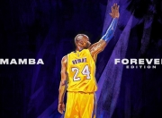 开云平台-西决生死战之夜，塔图姆用防守铸就传奇