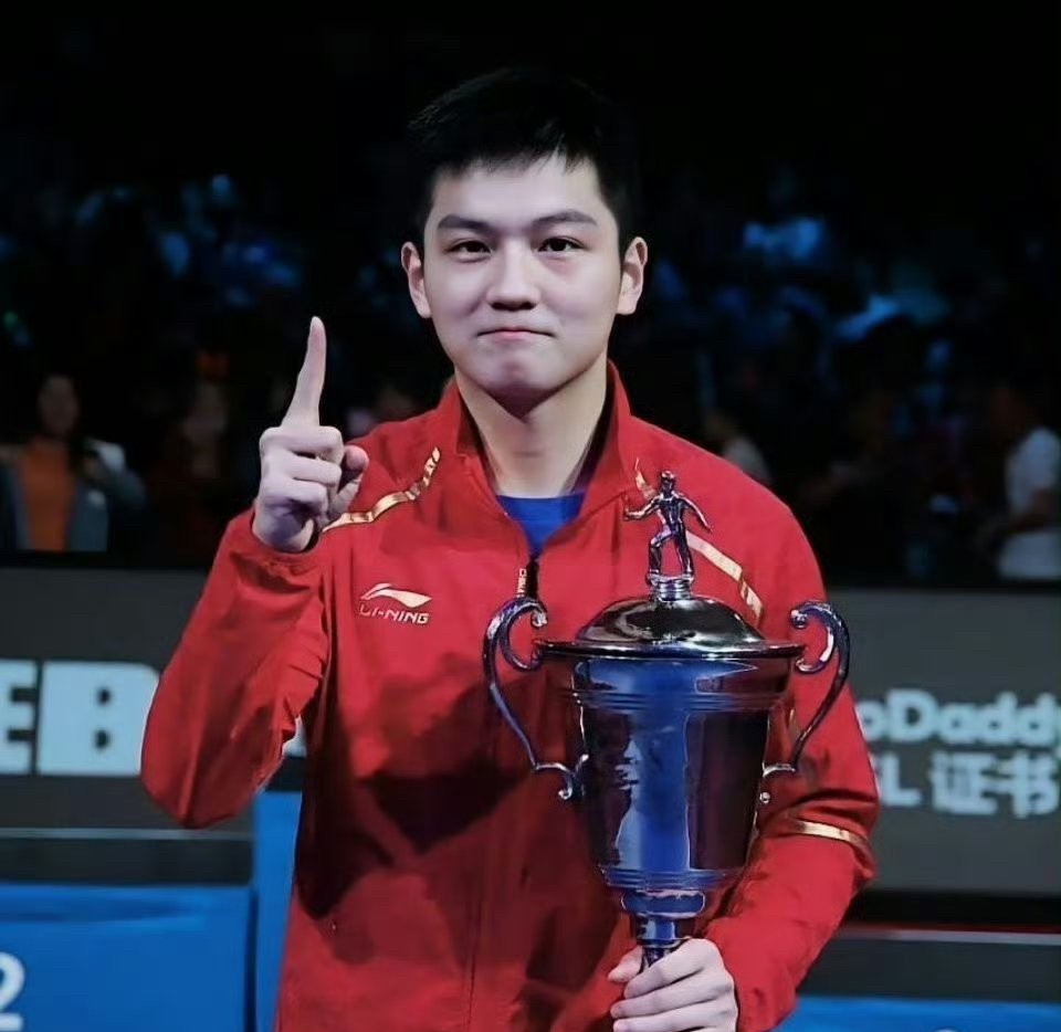 关于德国乒乓球队力克瑞典乒乓球队，王皓绝境逆转的信息