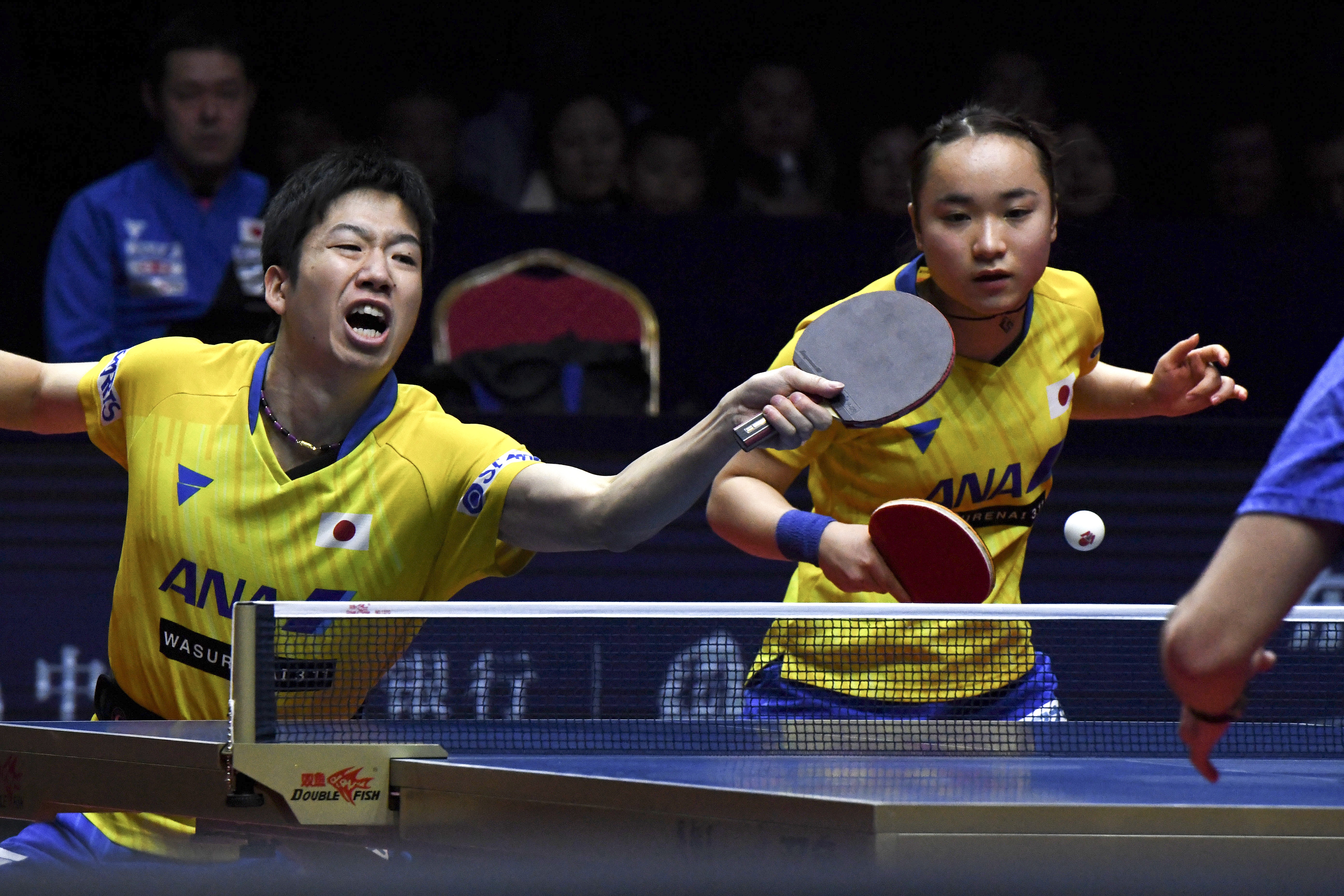 包含波兰乒乓球队逆转日本乒乓球队，水谷隼惊艳世界的词条