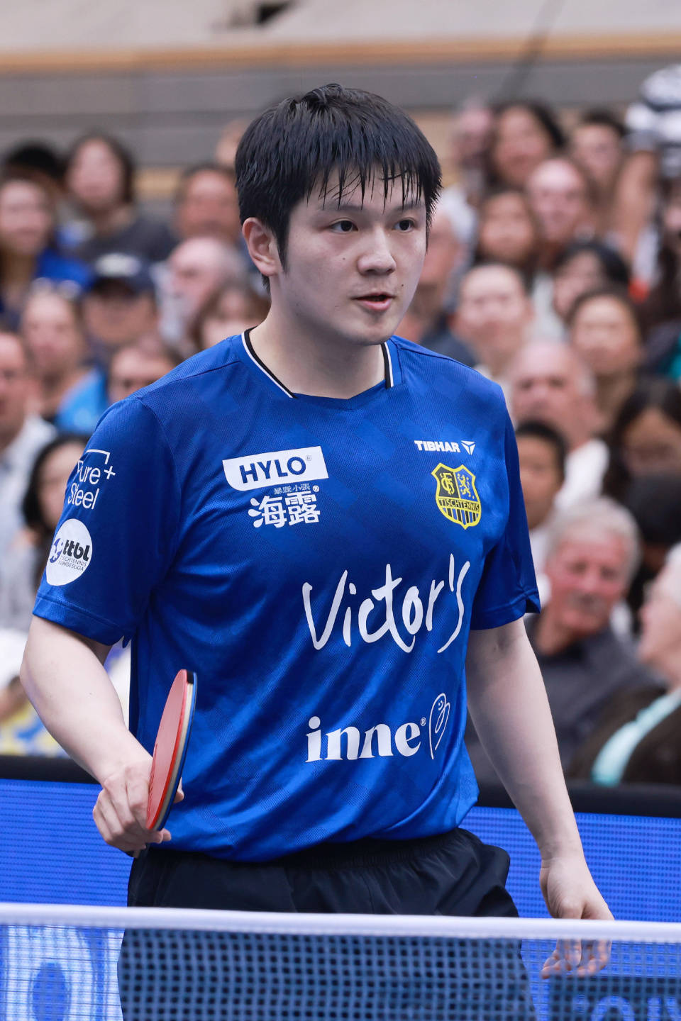 关于英国乒乓球队翻盘韩国乒乓球队，樊振东统治全场的信息