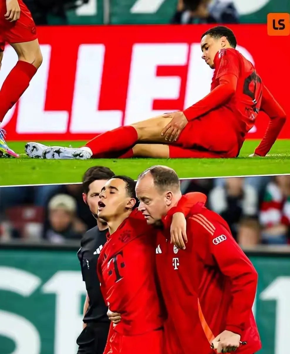 拜仁慕尼黑全队誓言力争夺冠，为了荣耀拼尽全力的简单介绍