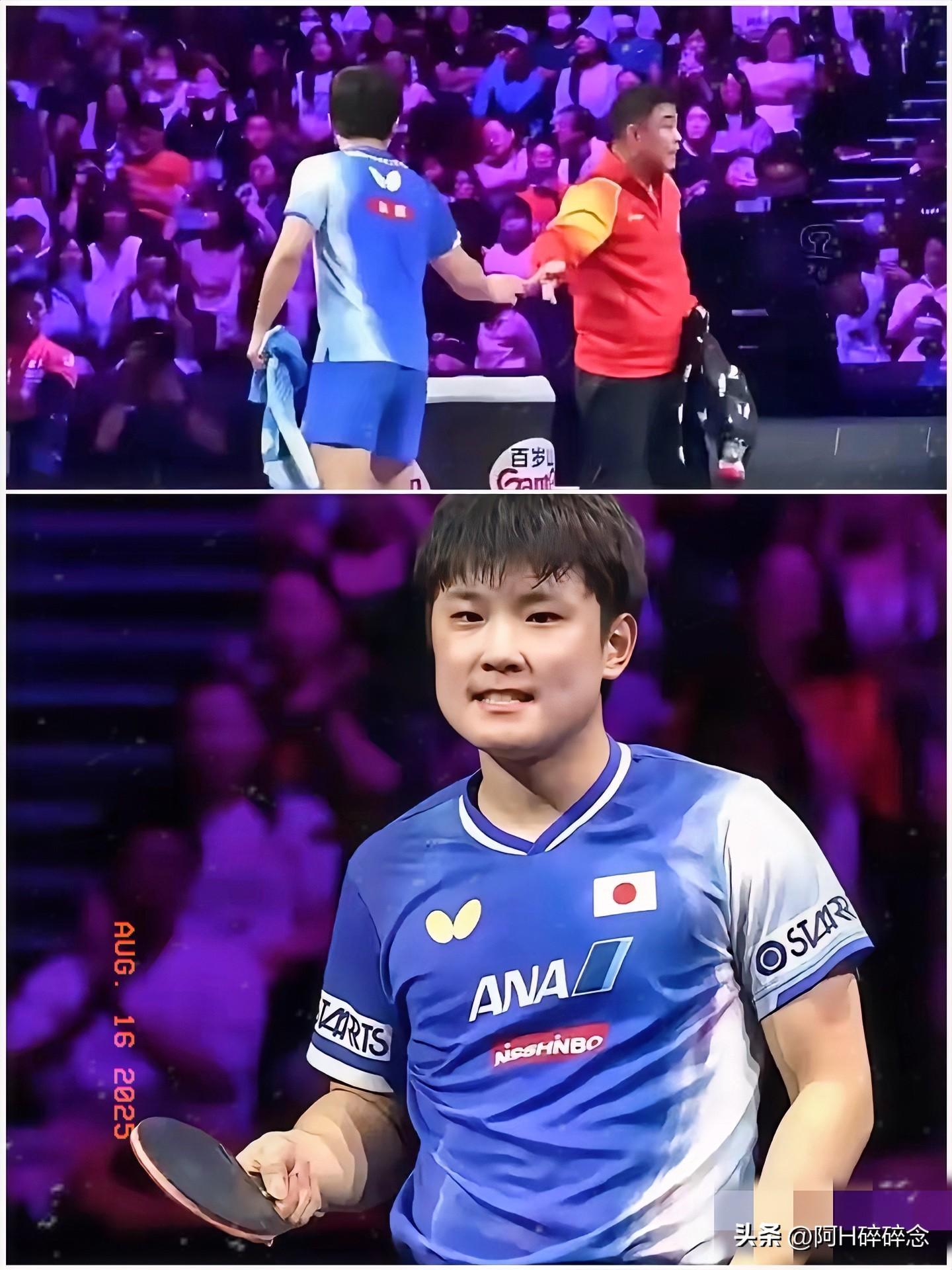 日本队逆转波兰队,张本智和刷新纪录的简单介绍 日本队逆转波兰队,张本智和刷新纪录的简单介绍